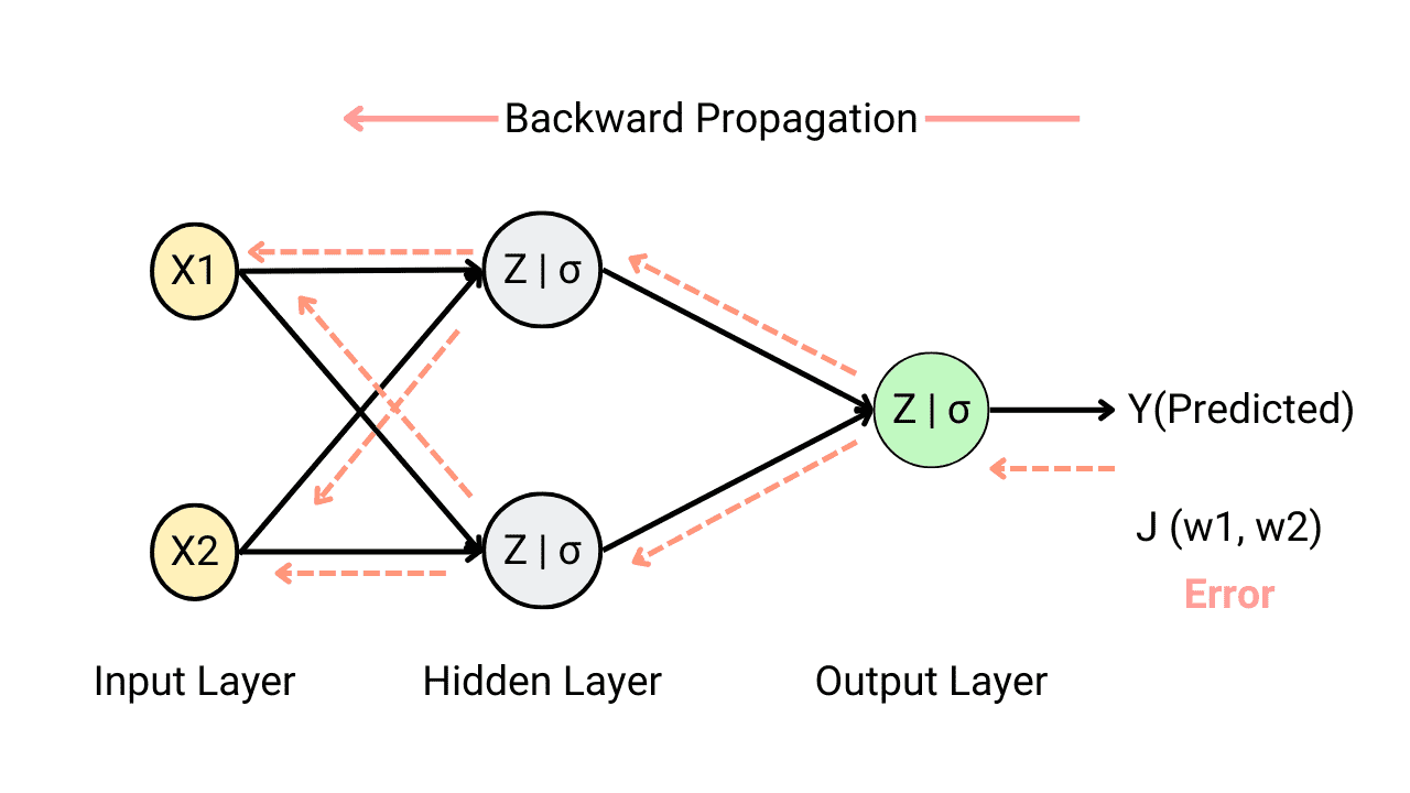 Working of Backpropagation in Neural Networks and Deep Learning